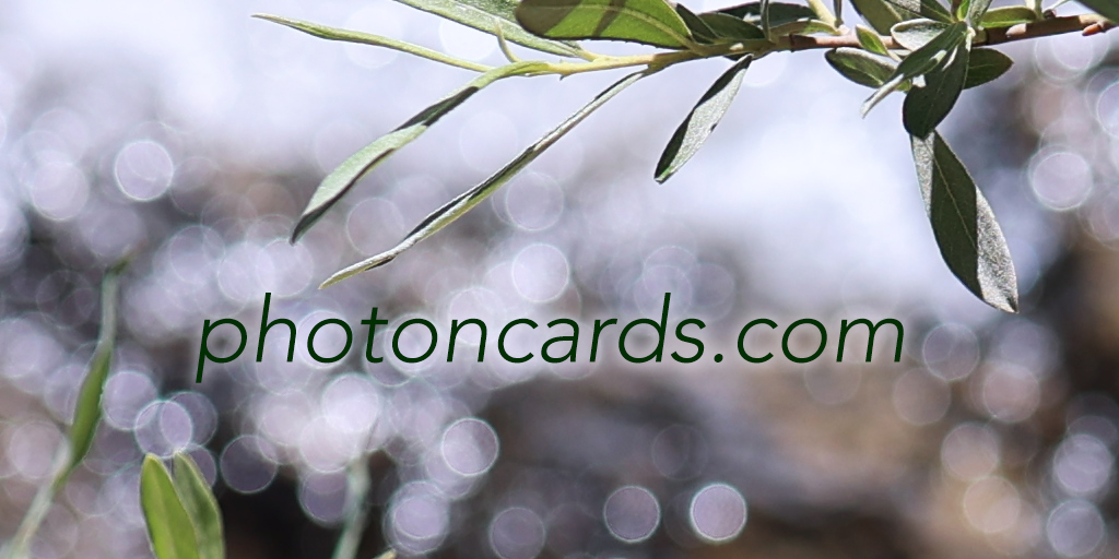 photoncards dot com